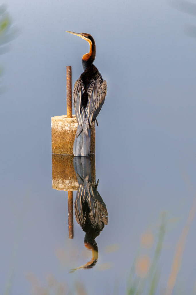 Dinokeng - 28 March 2026 (12 of 41)