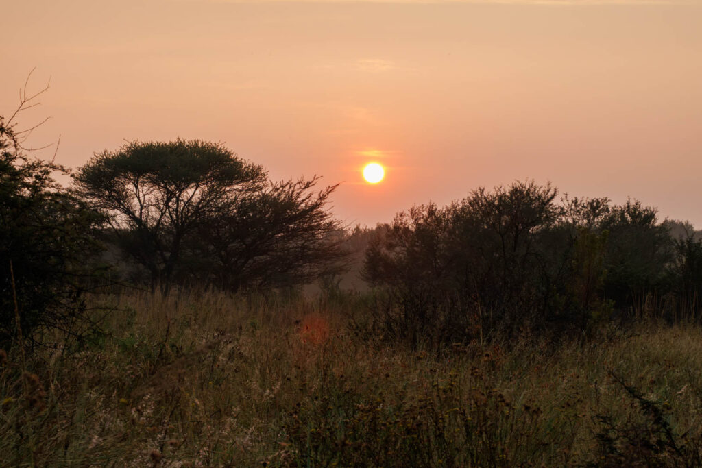Dinokeng - 28 March 2026 (2 of 41)