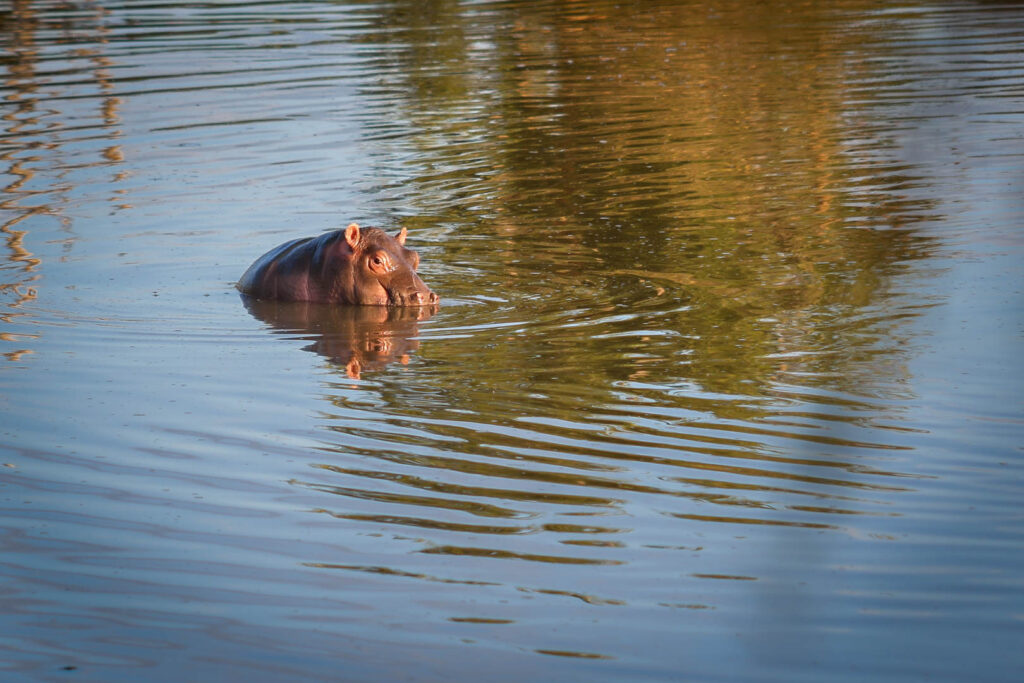 Pilansburg - May 2025 (3 of 44)