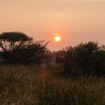 Sunrise - Wildlife photography - Dinokeng Game Reserve Sunrise - Wildlife photography - Dinokeng Game Reserve